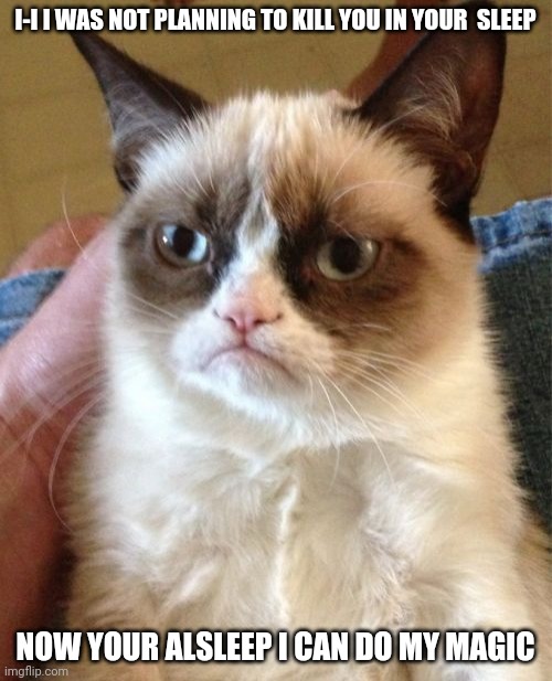 Grumpy Cat Meme | I-I I WAS NOT PLANNING TO KILL YOU IN YOUR  SLEEP; NOW YOUR ALSLEEP I CAN DO MY MAGIC | image tagged in memes,grumpy cat | made w/ Imgflip meme maker