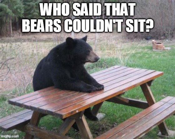 Anything is possible | WHO SAID THAT BEARS COULDN'T SIT? | image tagged in memes,bad luck bear,sitting,bear | made w/ Imgflip meme maker