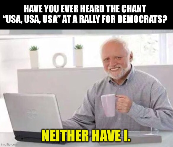 USA! | HAVE YOU EVER HEARD THE CHANT “USA, USA, USA” AT A RALLY FOR DEMOCRATS? NEITHER HAVE I. | image tagged in harold | made w/ Imgflip meme maker