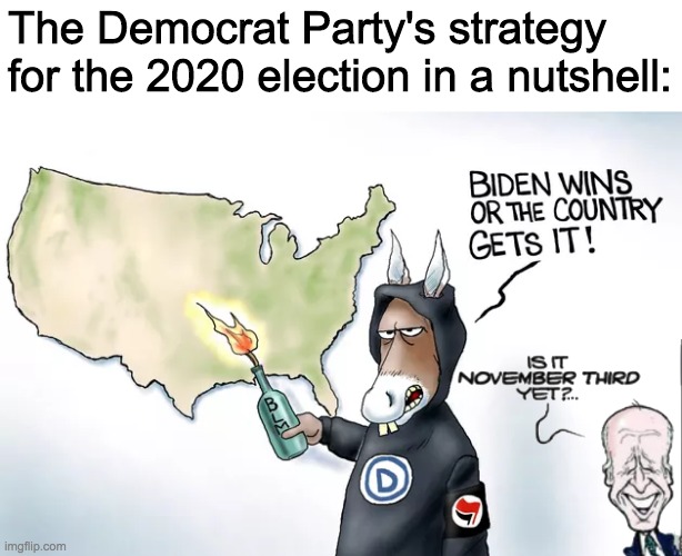 Trump & Pence 2020 | The Democrat Party's strategy for the 2020 election in a nutshell: | image tagged in funny,memes,politics,comics/cartoons,democrats,joe biden | made w/ Imgflip meme maker