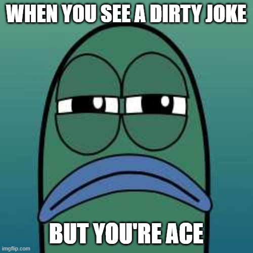 not funny | WHEN YOU SEE A DIRTY JOKE BUT YOU'RE ACE | image tagged in not funny | made w/ Imgflip meme maker