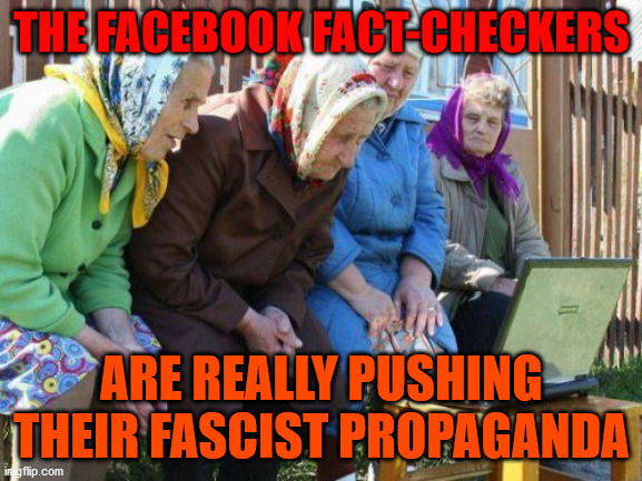 Babushkas On Facebook | THE FACEBOOK FACT-CHECKERS; ARE REALLY PUSHING THEIR FASCIST PROPAGANDA | image tagged in memes,babushkas on facebook | made w/ Imgflip meme maker