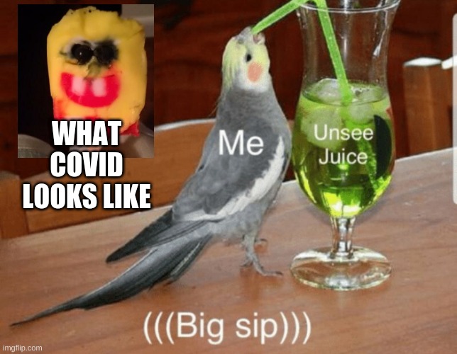 Unsee juice | WHAT COVID LOOKS LIKE | image tagged in unsee juice | made w/ Imgflip meme maker