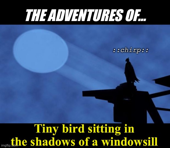 Bird in the Shadows | THE ADVENTURES OF... ::chirp::; Tiny bird sitting in the shadows of a windowsill | image tagged in batman signal | made w/ Imgflip meme maker