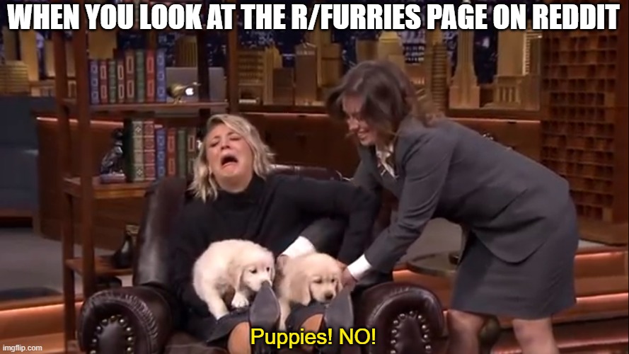 Puppy no furry | WHEN YOU LOOK AT THE R/FURRIES PAGE ON REDDIT; Puppies! NO! | image tagged in puppy no,memes,meme,furry,puppy | made w/ Imgflip meme maker