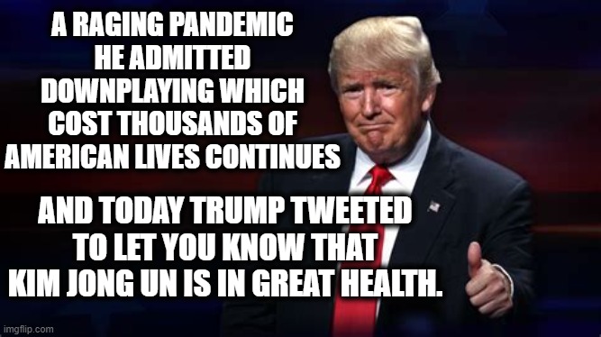 You love him because you're stupid, too. | A RAGING PANDEMIC HE ADMITTED DOWNPLAYING WHICH COST THOUSANDS OF AMERICAN LIVES CONTINUES; AND TODAY TRUMP TWEETED TO LET YOU KNOW THAT KIM JONG UN IS IN GREAT HEALTH. | image tagged in donald trump,stupid,kim jong un,north korea,criminal,traitor | made w/ Imgflip meme maker