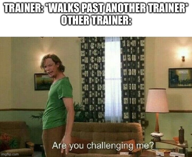 Are you challenging me? | TRAINER: *WALKS PAST ANOTHER TRAINER*
OTHER TRAINER: | image tagged in are you challenging me | made w/ Imgflip meme maker