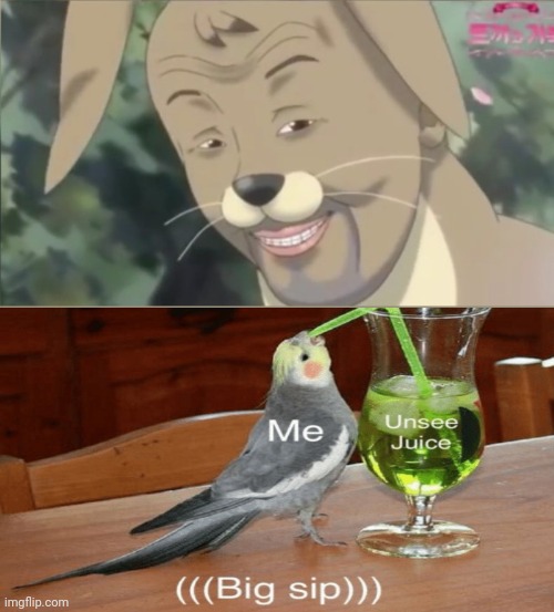 image tagged in weird chungus | made w/ Imgflip meme maker