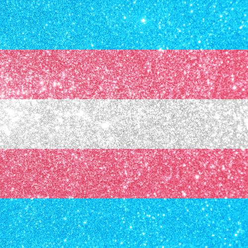 Trans rights Blank Meme Template