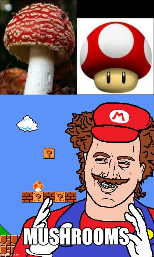 THAT MUSHROOM WILL PROBABLY KILL YOU | image tagged in memes,mushrooms,mario,super mario bros,ancient aliens | made w/ Imgflip meme maker