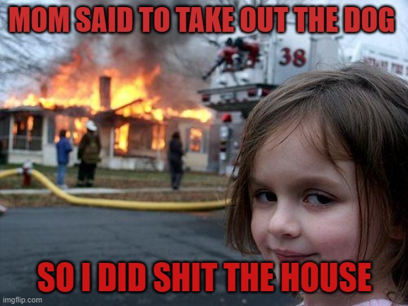 mom? | MOM SAID TO TAKE OUT THE DOG; SO I DID SHIT THE HOUSE | image tagged in memes | made w/ Imgflip meme maker
