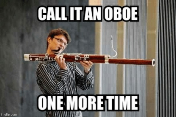 Call it an Oboe | image tagged in oboe,band,bassoon,incorrect | made w/ Imgflip meme maker