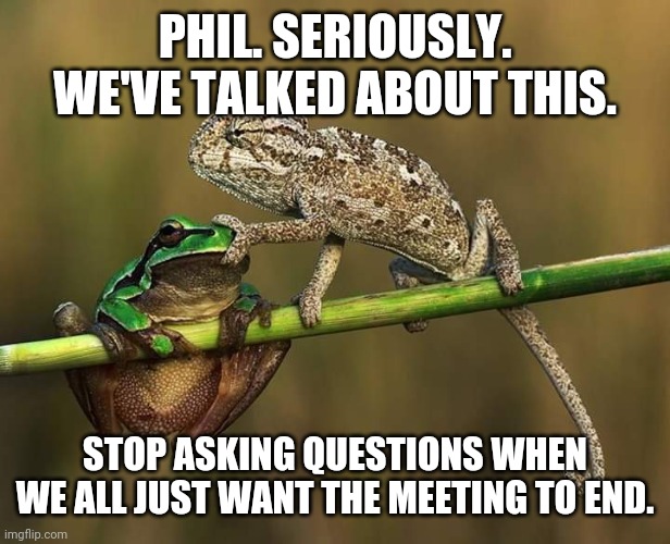 Meetings | PHIL. SERIOUSLY. WE'VE TALKED ABOUT THIS. STOP ASKING QUESTIONS WHEN WE ALL JUST WANT THE MEETING TO END. | image tagged in meeting,frog | made w/ Imgflip meme maker