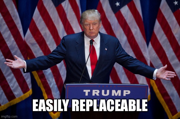 Donald Trump | EASILY REPLACEABLE | image tagged in donald trump | made w/ Imgflip meme maker