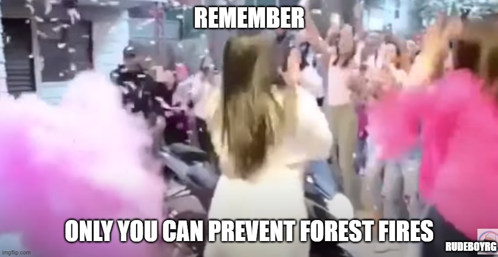 Gender Reveal Fire | REMEMBER; ONLY YOU CAN PREVENT FOREST FIRES; RUDEBOYRG | image tagged in gender reveal party,forest fire,gender reveal fire | made w/ Imgflip meme maker