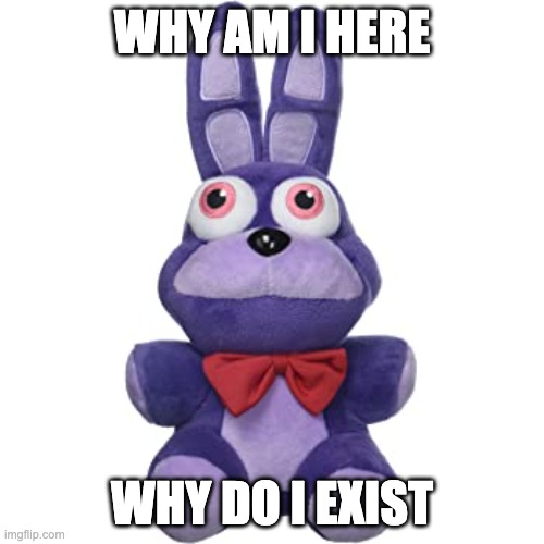 Bonnie has an existential crisis | WHY AM I HERE; WHY DO I EXIST | image tagged in fnaf,plush | made w/ Imgflip meme maker