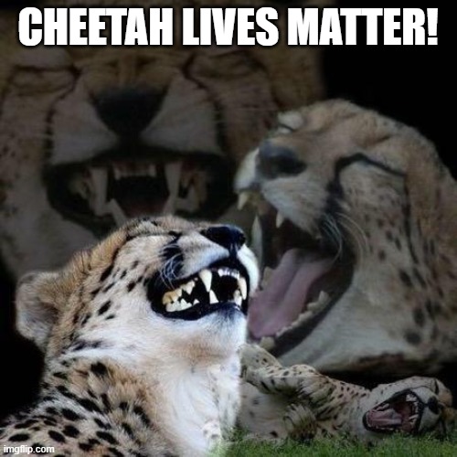 Laughing Cheetah | CHEETAH LIVES MATTER! | image tagged in laughing cheetah | made w/ Imgflip meme maker