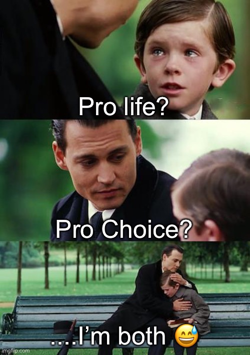 I respect people’s right to choose to make a human come into the world, but I prefer lil chilins running around to inherit the w | Pro life? Pro Choice? ....I’m both 😅 | image tagged in memes,finding neverland | made w/ Imgflip meme maker