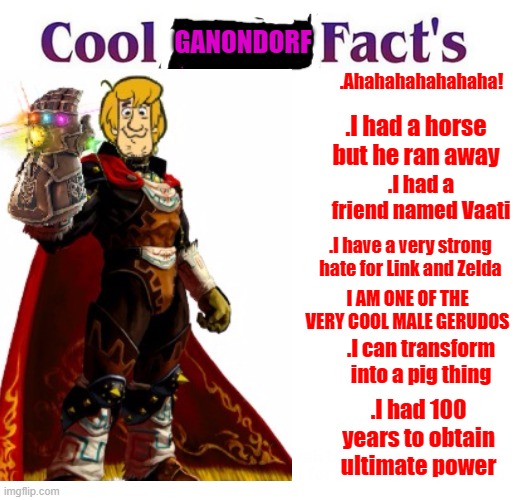 Thanks for the information Ganondorf | GANONDORF; .Ahahahahahahaha! .I had a horse but he ran away; .I had a friend named Vaati; .I have a very strong hate for Link and Zelda; I AM ONE OF THE VERY COOL MALE GERUDOS; .I can transform into a pig thing; .I had 100 years to obtain ultimate power | image tagged in bug,zelda,power | made w/ Imgflip meme maker