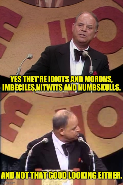 Don Rickles Roast | YES THEY'RE IDIOTS AND MORONS, IMBECILES,NITWITS AND NUMBSKULLS. AND NOT THAT GOOD LOOKING EITHER. | image tagged in don rickles roast | made w/ Imgflip meme maker