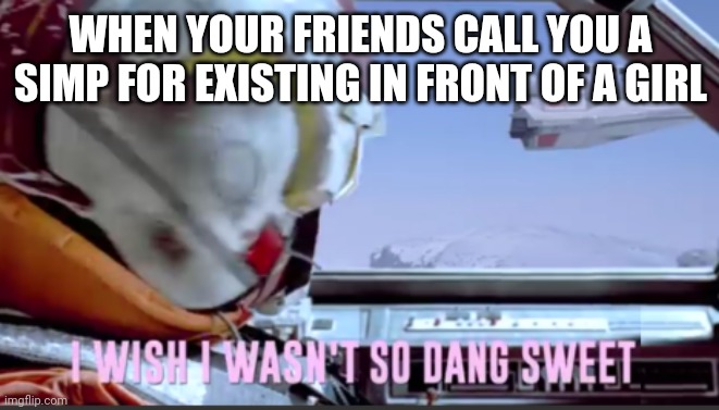 Haha ur are a smip! | WHEN YOUR FRIENDS CALL YOU A SIMP FOR EXISTING IN FRONT OF A GIRL | image tagged in i wish i wasn't so dang sweet,memes,funny,simp | made w/ Imgflip meme maker
