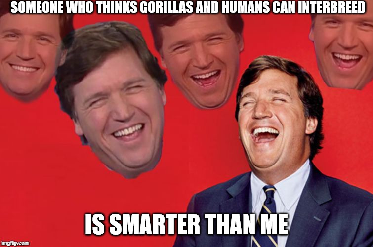Tucker laughs at libs | SOMEONE WHO THINKS GORILLAS AND HUMANS CAN INTERBREED IS SMARTER THAN ME | image tagged in tucker laughs at libs | made w/ Imgflip meme maker