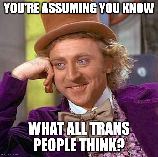 Creepy Condescending Wonka Meme | YOU'RE ASSUMING YOU KNOW WHAT ALL TRANS PEOPLE THINK? | image tagged in memes,creepy condescending wonka | made w/ Imgflip meme maker