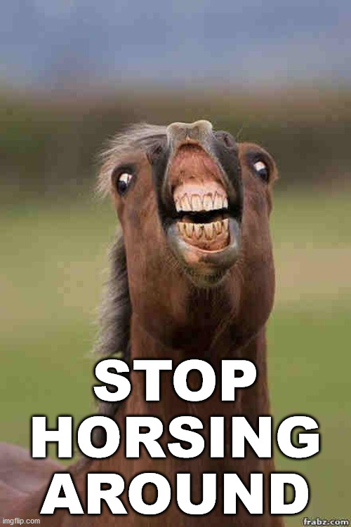 horse face | STOP HORSING AROUND | image tagged in horse face | made w/ Imgflip meme maker