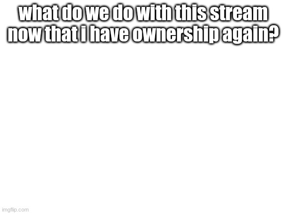 Blank White Template | what do we do with this stream now that i have ownership again? | image tagged in blank white template | made w/ Imgflip meme maker