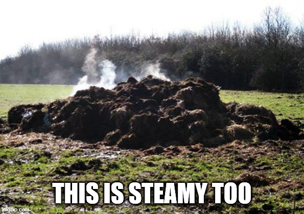 Steaming pile of shit | THIS IS STEAMY TOO | image tagged in steaming pile of shit | made w/ Imgflip meme maker