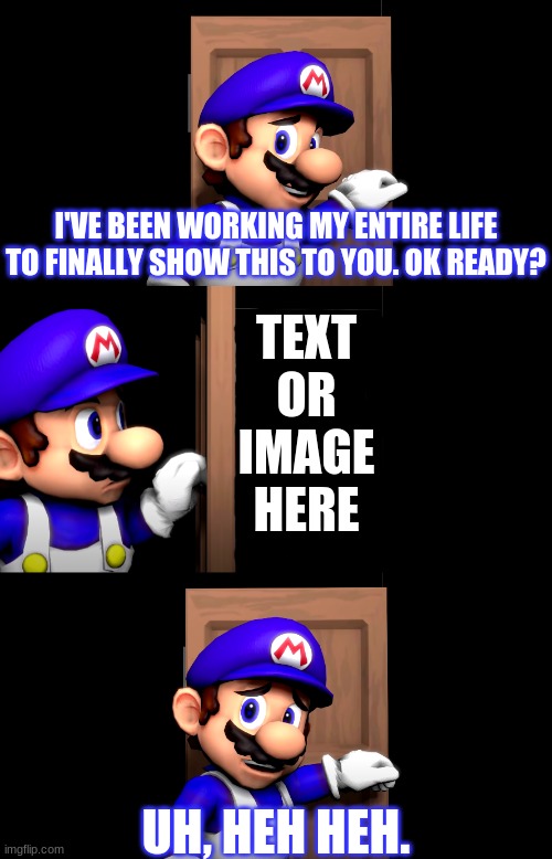 Smg4 door | TEXT OR IMAGE HERE | image tagged in smg4 door | made w/ Imgflip meme maker