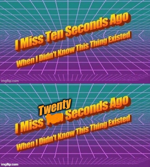 Twenty | image tagged in i miss ten seconds ago | made w/ Imgflip meme maker