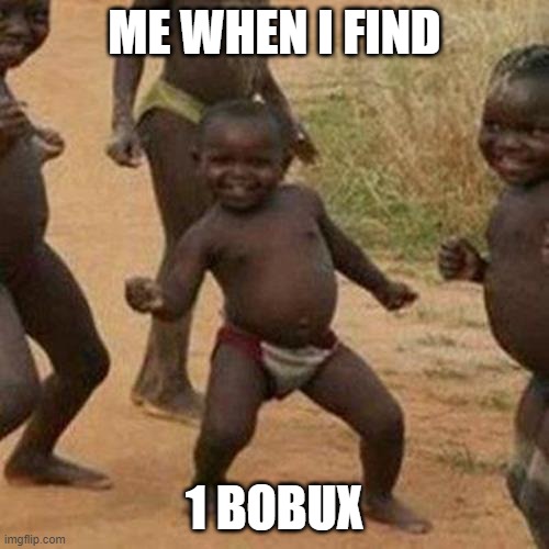 Bobux = Money lots | ME WHEN I FIND; 1 BOBUX | image tagged in memes,third world success kid | made w/ Imgflip meme maker