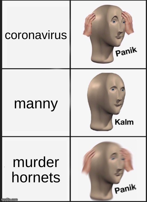 Panik Kalm Panik Meme | coronavirus; manny; murder hornets | image tagged in memes,panik kalm panik | made w/ Imgflip meme maker