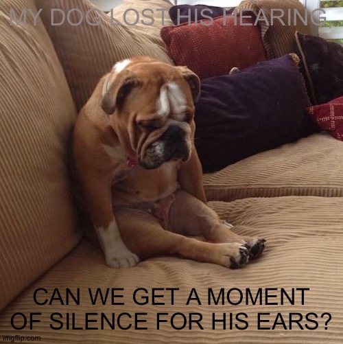 bulldogsad | MY DOG LOST HIS HEARING, CAN WE GET A MOMENT OF SILENCE FOR HIS EARS? | image tagged in bulldogsad,crying | made w/ Imgflip meme maker