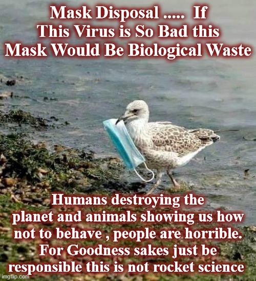 trash | Mask Disposal .....  If This Virus is So Bad this Mask Would Be Biological Waste; Humans destroying the planet and animals showing us how not to behave , people are horrible. For Goodness sakes just be responsible this is not rocket science | image tagged in trash | made w/ Imgflip meme maker