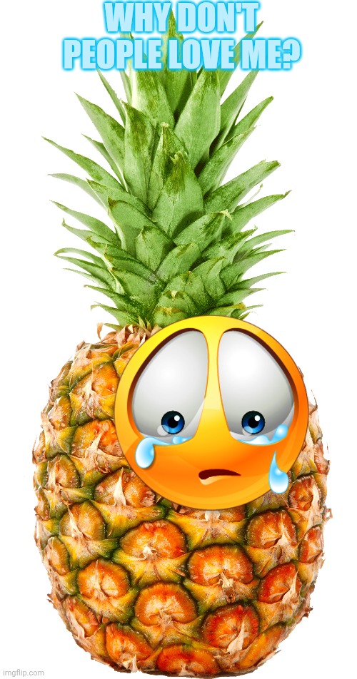 Why does everyone hate pineapples? | WHY DON'T PEOPLE LOVE ME? | image tagged in pineapple | made w/ Imgflip meme maker