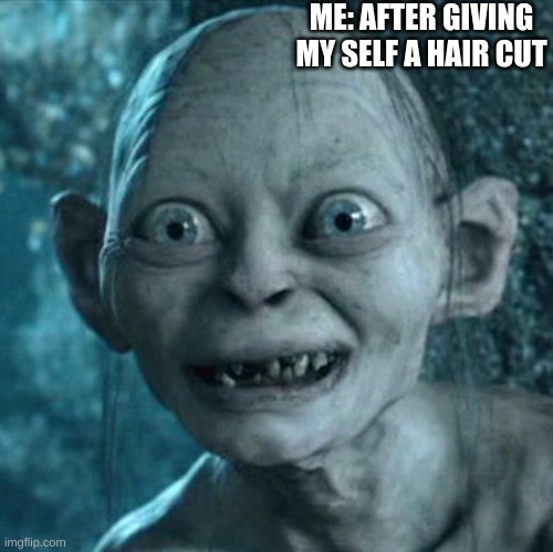 Gollum Meme | ME: AFTER GIVING MY SELF A HAIR CUT | image tagged in memes,gollum | made w/ Imgflip meme maker