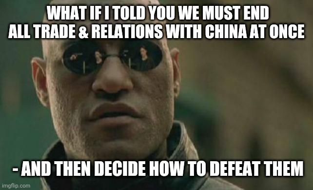 China is our Enemy | WHAT IF I TOLD YOU WE MUST END ALL TRADE & RELATIONS WITH CHINA AT ONCE; - AND THEN DECIDE HOW TO DEFEAT THEM | image tagged in memes,matrix morpheus,chinese,enemies,kung flu | made w/ Imgflip meme maker