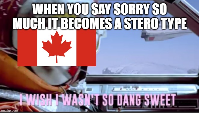 I wish I wasn't so dang sweet | WHEN YOU SAY SORRY SO MUCH IT BECOMES A STERO TYPE | image tagged in i wish i wasn't so dang sweet | made w/ Imgflip meme maker