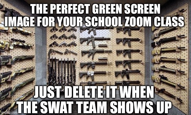 Just wait for April Fools Day for this | THE PERFECT GREEN SCREEN IMAGE FOR YOUR SCHOOL ZOOM CLASS; JUST DELETE IT WHEN THE SWAT TEAM SHOWS UP | image tagged in green screen,zoom class | made w/ Imgflip meme maker