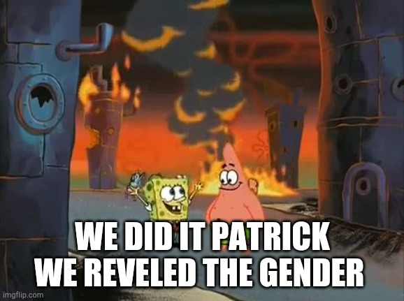 "We did it, Patrick! We saved the City!" | WE DID IT PATRICK WE REVELED THE GENDER | image tagged in we did it patrick we saved the city | made w/ Imgflip meme maker