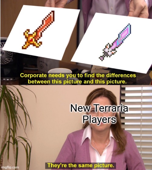 What do think of it? | New Terraria Players | image tagged in memes,they're the same picture | made w/ Imgflip meme maker