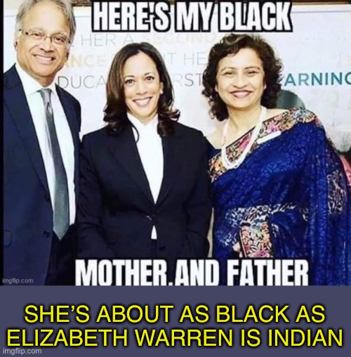 Kamala Harris should take a DNA test! | SHE’S ABOUT AS BLACK AS ELIZABETH WARREN IS INDIAN | image tagged in camel hump harris,not openly black,blackless in seattle | made w/ Imgflip meme maker