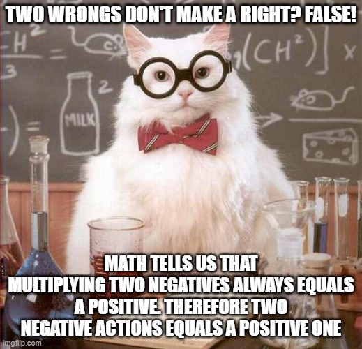 cat scientist | TWO WRONGS DON'T MAKE A RIGHT? FALSE! MATH TELLS US THAT MULTIPLYING TWO NEGATIVES ALWAYS EQUALS A POSITIVE. THEREFORE TWO NEGATIVE ACTIONS EQUALS A POSITIVE ONE | image tagged in cat scientist | made w/ Imgflip meme maker