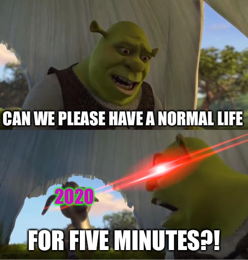 Shrek For Five Minutes | CAN WE PLEASE HAVE A NORMAL LIFE; 2020; FOR FIVE MINUTES?! | image tagged in shrek for five minutes,2020 | made w/ Imgflip meme maker