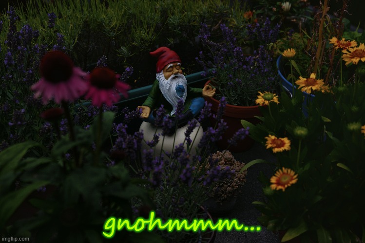 There is no right response | gnohmmm... | image tagged in don't vote | made w/ Imgflip meme maker