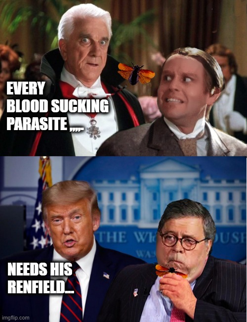 Stranger Than Fiction... | EVERY BLOOD SUCKING PARASITE ,,,,. NEEDS HIS RENFIELD... | image tagged in oxymoron,donald trump is an idiot,crooked,election 2020 | made w/ Imgflip meme maker