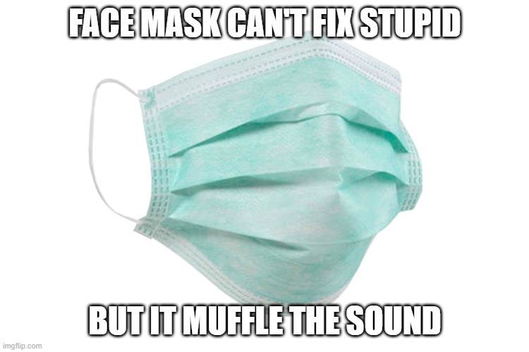 face mask can't fix stupid but it muffle the sound | FACE MASK CAN'T FIX STUPID; BUT IT MUFFLE THE SOUND | image tagged in face mask | made w/ Imgflip meme maker