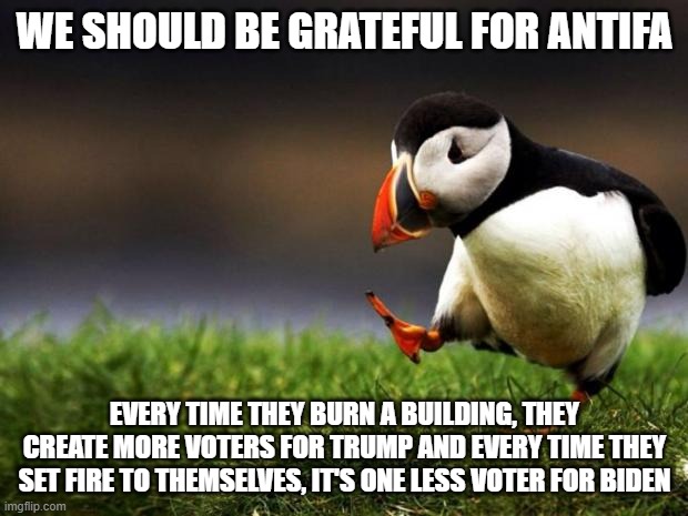 Unpopular Opinion Puffin | WE SHOULD BE GRATEFUL FOR ANTIFA; EVERY TIME THEY BURN A BUILDING, THEY CREATE MORE VOTERS FOR TRUMP AND EVERY TIME THEY SET FIRE TO THEMSELVES, IT'S ONE LESS VOTER FOR BIDEN | image tagged in memes,unpopular opinion puffin | made w/ Imgflip meme maker